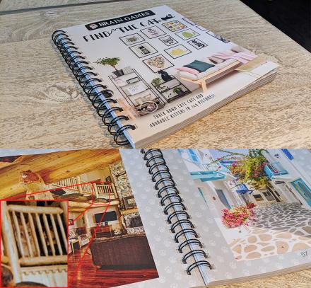 Find The Cat Book – Where’s Waldo Except It’s Cats