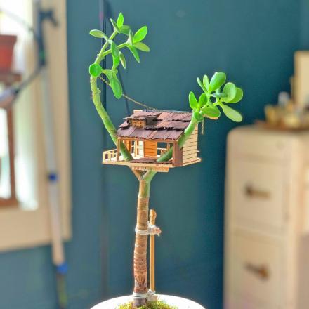 You Can Now Get a Mini Treehouse For Your House Plants, and They’re Absolutely Adorable